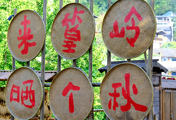婺源篁岭景区第 105 张图片