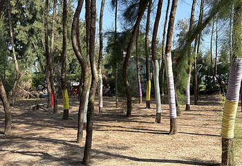 彩蝶湾景区第 70 张图片