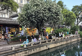 平江路历史街区第 162 张图片