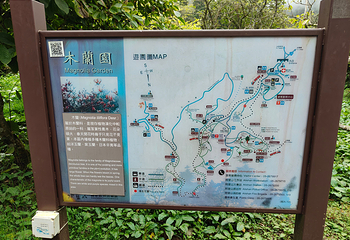 阿里山国家风景区第 51 张图片