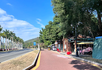 淇澳岛第 30 张图片