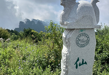 王莽岭风景区第 50 张图片