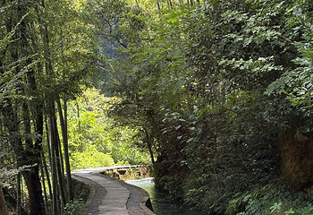 芦茨村第 32 张图片