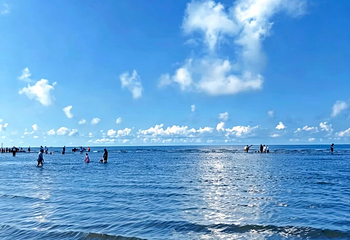 北海银滩景区第 84 张图片