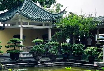 鹅岭公园第 129 张图片