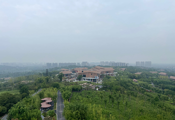 成都大熊猫繁育研究基地第 312 张图片