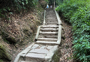 青城后山第 35 张图片