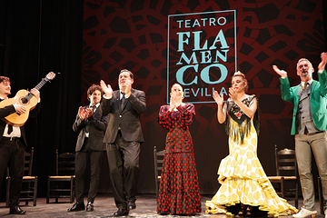 塞维利亚Teatro Flamenco Sevilla弗拉明戈剧院第 14 张图片
