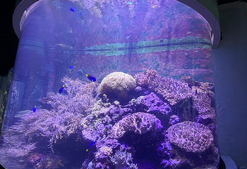 台湾海洋生物博物馆第 59 张图片