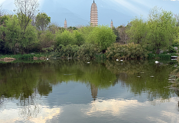 崇圣寺三塔文化旅游区第 121 张图片