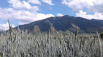 Kerege-Tash Ayylynyn Klubu