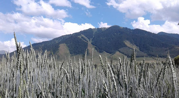 Kerege-Tash Ayylynyn Klubu