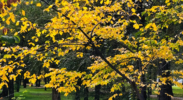 The Friendship of Kyrgyzstan and South Korea Park