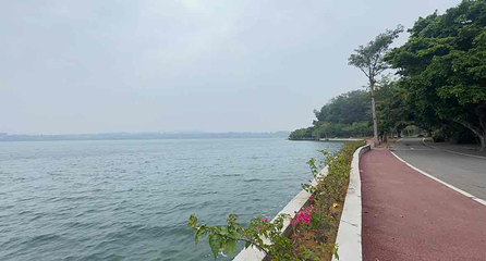 湖光岩风景区第 22 张图片