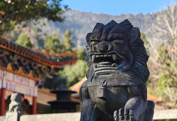 天目山自然保护区第 49 张图片
