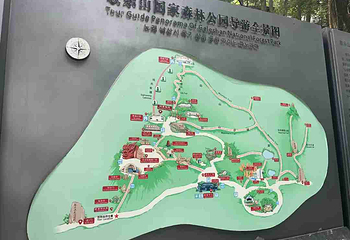 歌乐山国家森林公园第 49 张图片