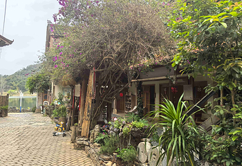 新安江山水画廊第 52 张图片