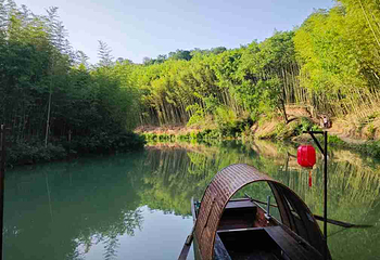 鲸鱼沟竹海风景区第 25 张图片