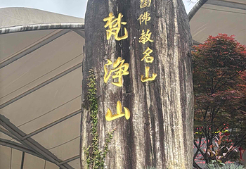 梵净山第 214 张图片