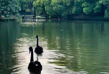 世纪公园第 85 张图片