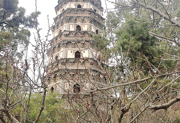 虎丘山风景名胜区第 236 张图片