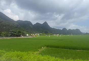 万峰林景区第 147 张图片