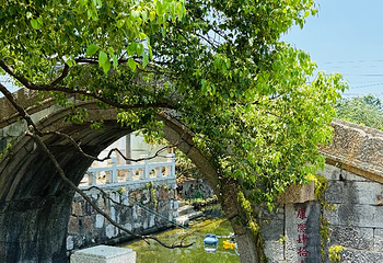 太湖西山岛第 15 张图片