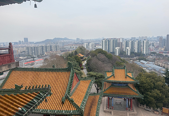 阅江楼第 56 张图片