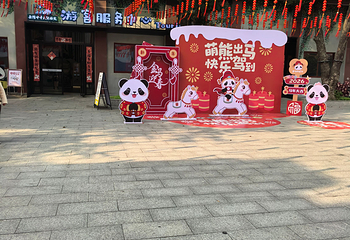 岳阳中华大熊猫苑第 35 张图片