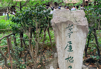 杜甫草堂第 277 张图片