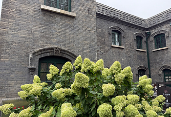 张学良旧居第 92 张图片