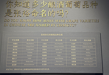 张裕酒文化博物馆第 82 张图片