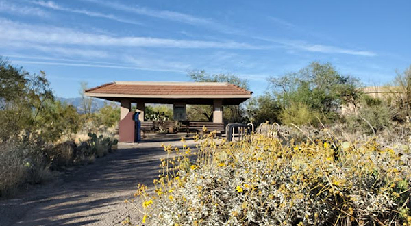 Saguaro National Park East Side
