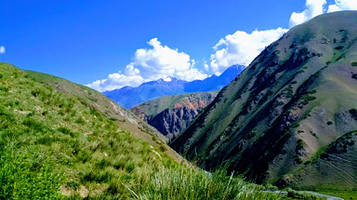 Pitomnik Bugu-Maralov