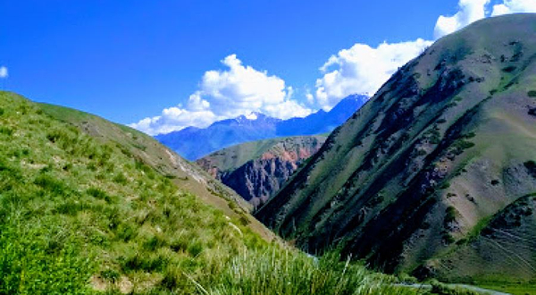 Pitomnik Bugu-Maralov