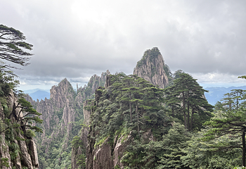 黄山风景区第 86 张图片