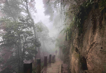 青城山第 366 张图片