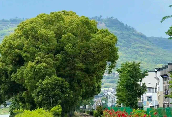 十九峰第 60 张图片