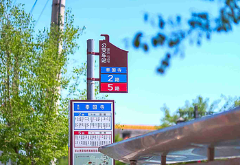 奉国寺第 18 张图片