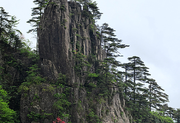 黄山风景区第 271 张图片