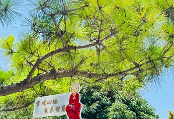 大雁塔第 78 张图片