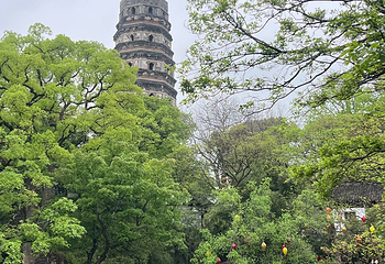 虎丘山风景名胜区第 239 张图片
