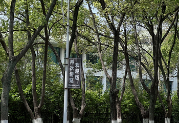 南山风景区第 106 张图片