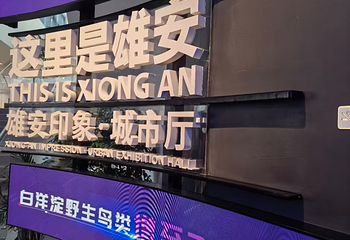 雄安印象第 22 张图片