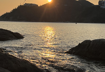 浅水湾第 88 张图片