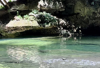 蟒河生态旅游区第 24 张图片