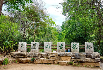 景迈山茶林文化景区第 11 张图片