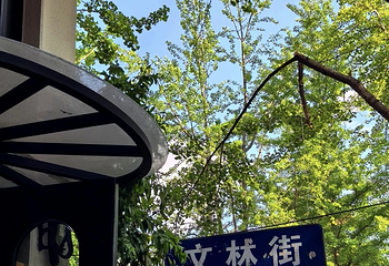 文林街第 11 张图片