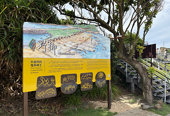 野柳地质公园第 55 张图片