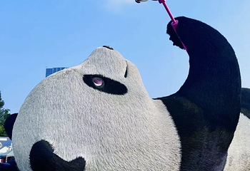 仰天窝广场第 44 张图片